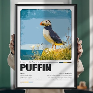 Papageitaucher Gemälde Poster - Küsten Seevogel Wandkunst, Papageientaucher Druck, Nautische Wildtier Dekoration, Geschenk für Naturliebhaber, Vogel Illustration