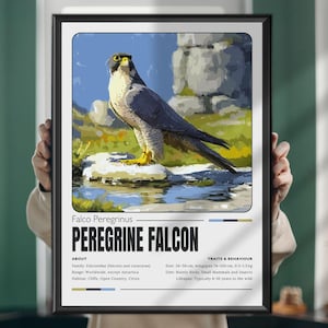 Poster di Falco Pellegrino - Stampa murale realistica di un rapace, illustrazione di un uccello rapace vintage, stampa decorativa di animali selvatici, regalo per gli amanti della natura
