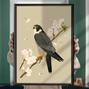 Peregrine Falcon Painting Poster – Raptor Wall Art, Falcon Bird Illustration, Wildlife Decor, Nature Lover Gift, Bird Print