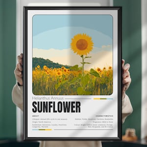 Sunflower Botanical Print – Bright Floral Wall Art Poster or Canvas, Nature-Inspired Home Decor, Gift for Plant & Flower Lovers