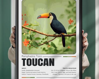 Toucan Print: Vintage Tropical Bird Illustration, Nature Decor