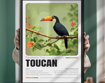 Toucan Print: Vintage Tropical Bird Illustration, Nature Decor