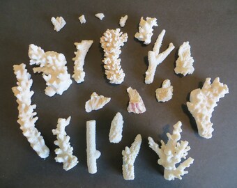 Vintage Lot 20 Pieces of Coral Shell Nautical Sea DIY Decor