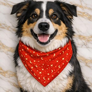 Könnte beinhalten: Ein lächelnder Hund trägt ein rotes Halstuch mit einem goldenen Himmelsmuster aus Sternen und Monden. Der Hund hat schwarzes, weißes und braunes Fell. Das Halstuch ist dreieckig und um den Hals des Hundes gebunden.
