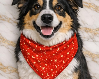 Pañuelo grande para perro/Pañuelo Ruby Galaxy