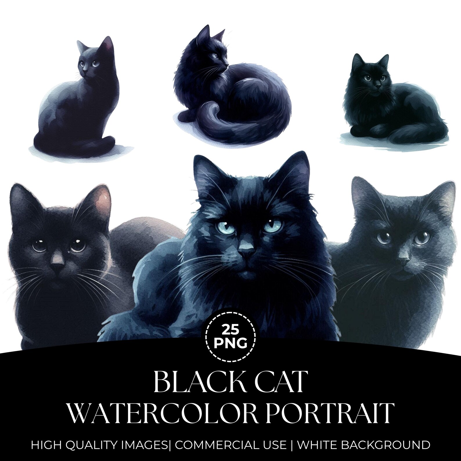 Black Cat Watercolor Clipart: 25 PNG Portrait Illustrations (digital ...