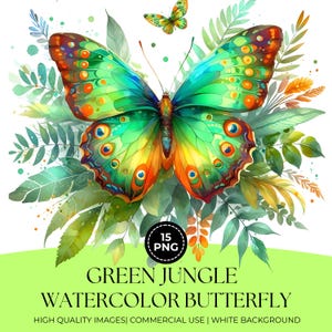 15 Clipart papillon aquarelle de la jungle verte, haute qualité coloré PNG Style Aquarelle lunatique, Illustrations de papillons en téléchargement numérique