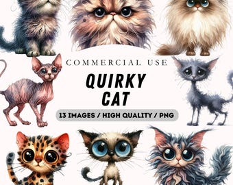 Quirky Cat Clipart, 13 högkvalitativa akvarell PNG, roliga nyckfulla kattungegrafik, skräpjournal, papperspyssel clipart, digital nedladdning