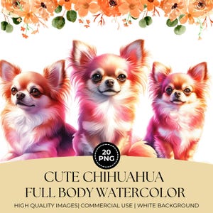 20 Cute Realistic Chihuahua Full Body Watercolor PNG Clipart, Dog Illustration Watercolor Chihuahua Clipart Bundle, Cute Pet, Commercial Use