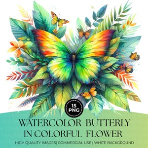 15 Watercolor Butterfly in Colorful Flower Clipart, High Quality Colorful PNG, Whimsical Watercolor, Botanical Butterfly PNG, Commercial Use
