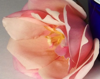 Hidratante facial de agua de rosas con ácido hialurónico, para todo tipo de piel, sin parabenos, base ideal para maquillaje mineral - Vidrio ecológico, para viaje, tamaños de muestra