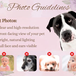 May include: A pink background with floral accents and text reading "Photo Guidelines." It features a black and white dog and lists photo tips: clear, high-resolution, front-facing view, bright lighting, and full face visible.