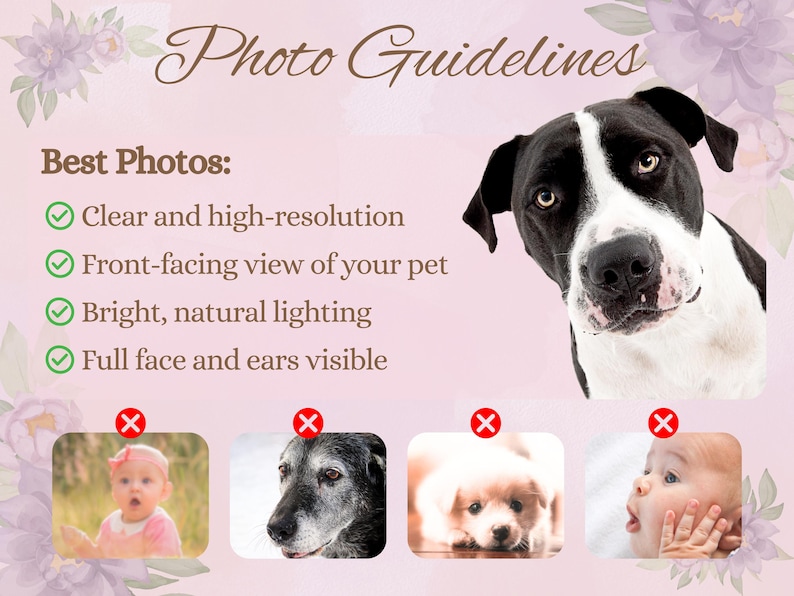 May include: A pink background with floral accents and text reading "Photo Guidelines." It features a black and white dog and lists photo tips: clear, high-resolution, front-facing view, bright lighting, and full face visible.