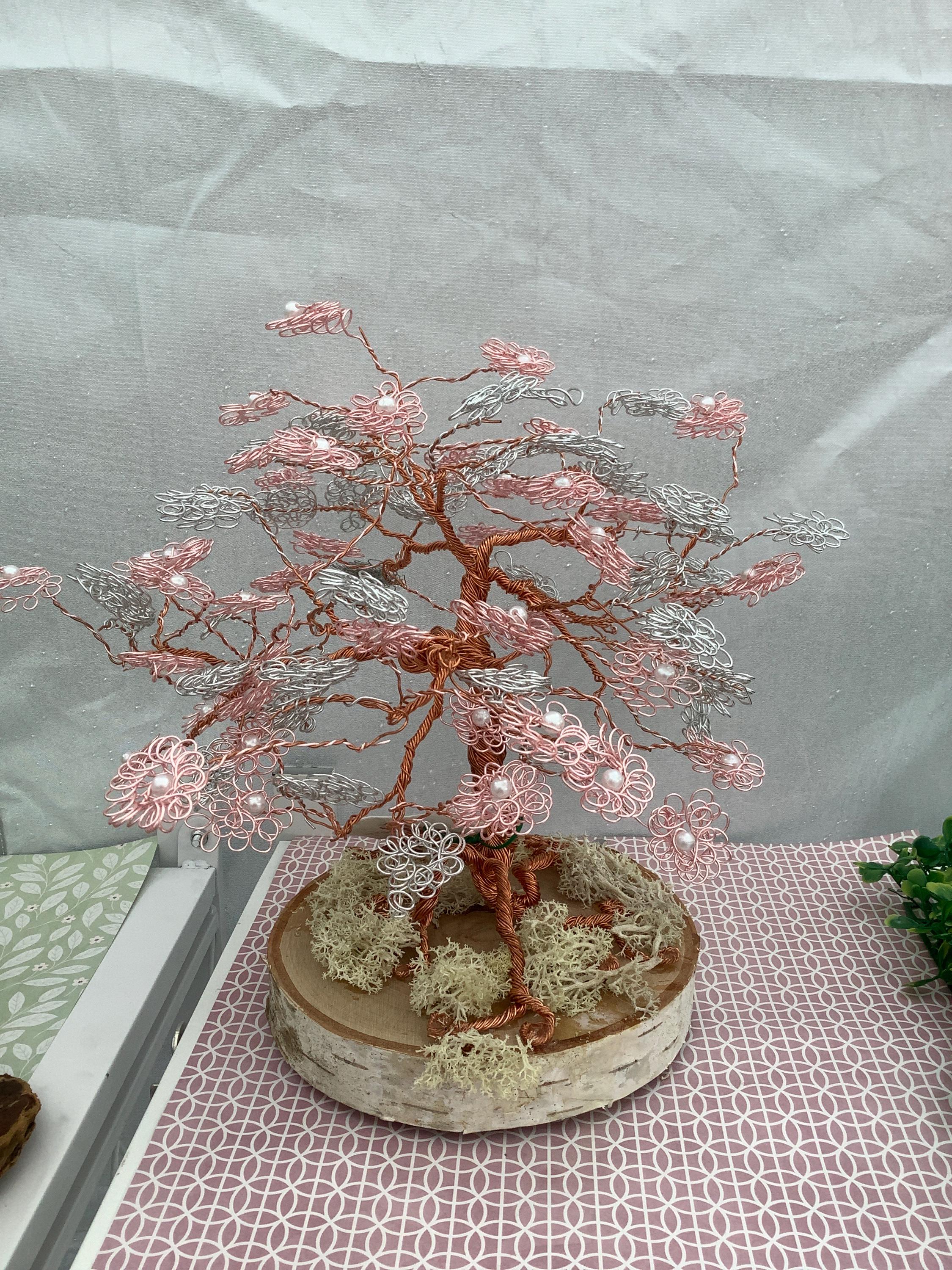 lime prickly ash bonsai Key Lime Bonsai Tree