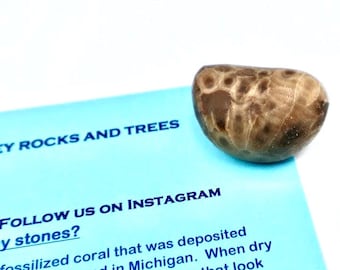Petoskey Stone Polishing Kit: Michigan Rocks, Sandpaper & Candy