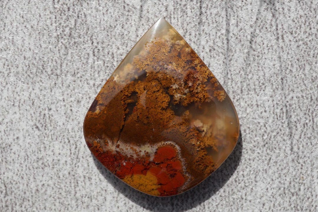 Moss Incridible With Beautiful Red Color ; Origin Ternate Indonesia ...