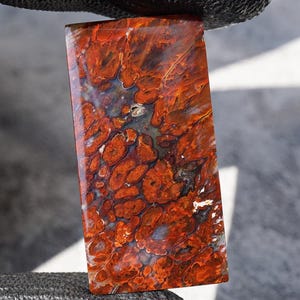 May include: A rectangular stone with a polished surface. The stone features a vibrant pattern of red, orange, and brown hues, with darker areas of gray and black. The overall texture appears organic, resembling a close-up view of a natural formation. The stone is held by a black gloved hand.