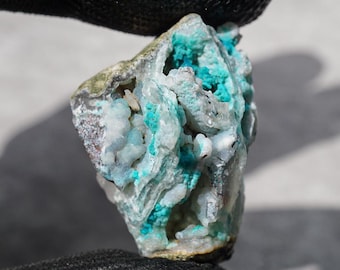 Impresionante ejemplar de drusa de crisocola con formación botrioidal, mineral en bruto de color azul verdoso. Magnífico y raro grupo de drusas de crisocola.