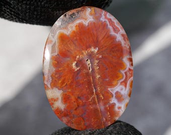 Impresionante formación similar a una flor en un cálido cabujón de ágata floral rojo intenso y naranja, piedra de ágata floral natural ovalada, gema de cristal curativo.