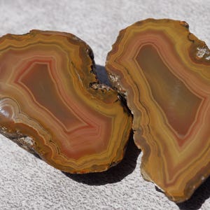 Könnte beinhalten: Zwei Hälften eines Geoden mit braunen, orangen und roten Achatbändern. Der Geode ist geschnitten und poliert, wodurch die komplizierten Muster des Achats sichtbar werden.
