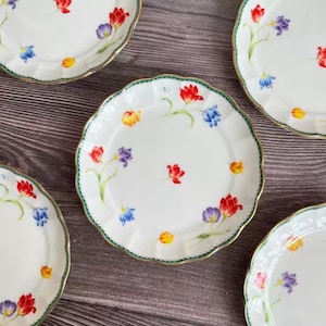 Peut inclure: Assiettes en céramique blanche à bord festonné, ornées de motifs floraux colorés rouges, violets, jaunes et bleus. Les assiettes ont une bordure dorée et un bord vert. Les assiettes sont disposées sur une surface en bois foncé.