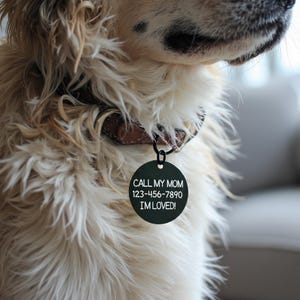 Custom Engraved Pet ID Tag: Stainless Steel Dog & Cat Collar