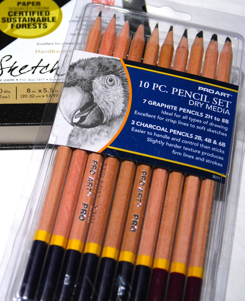 Drawing media sketching pencils Drawing pencils Set of 10 pencils Artist gift Graphite and charcoal