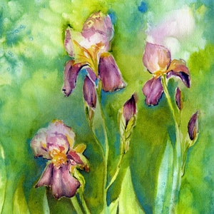 Iris painting, Flower Painting, garden art, Watercolor painting, Wall Art, in watercolor, spring green and purple, 8 x 10 giclee print,