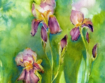 Iris painting, Flower Painting, garden art, Watercolor painting, Wall Art, in watercolor, spring green and purple, 8 x 10 giclee print,