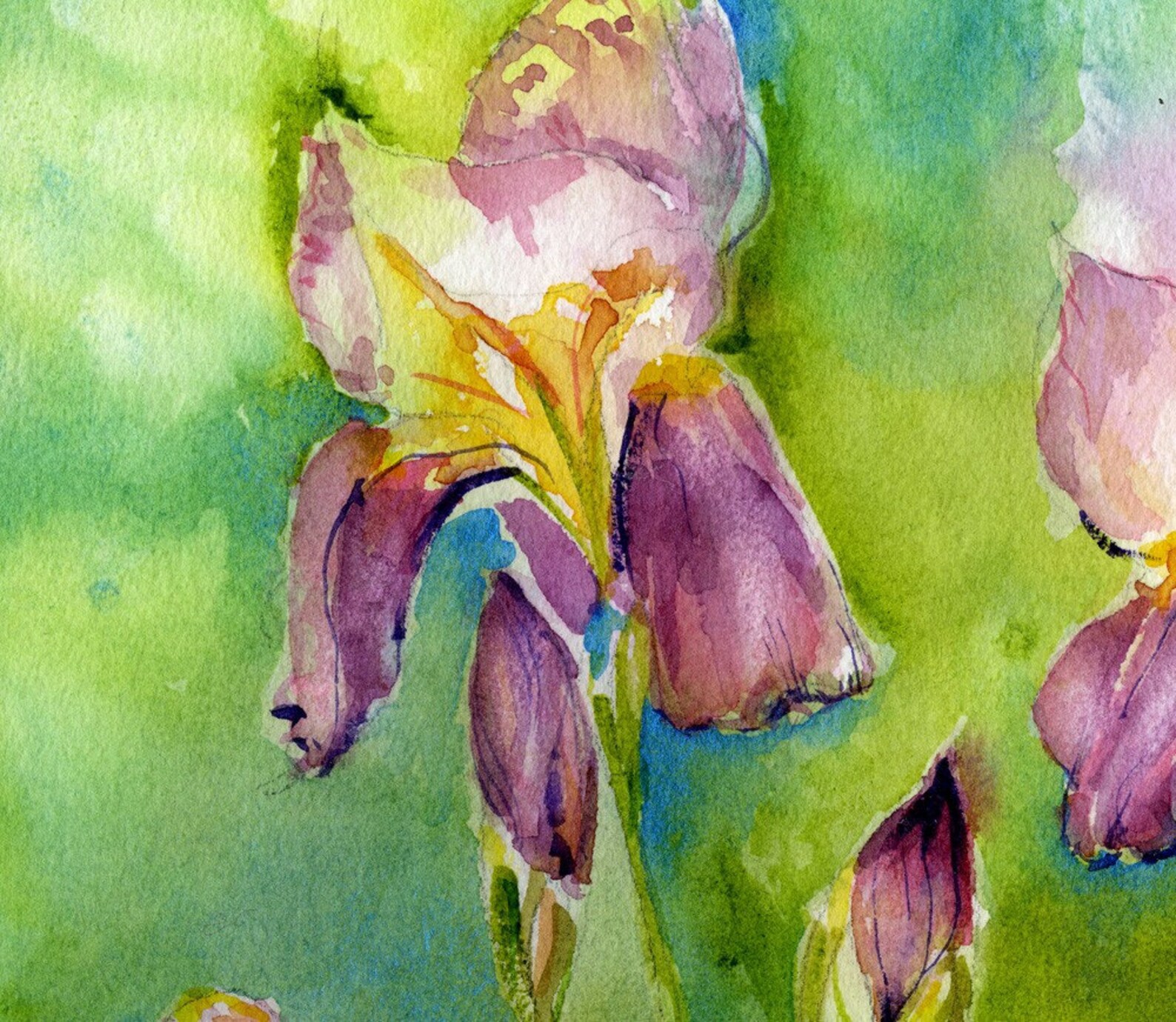 Iris Painting Watercolor Original Floral Wall Art Home - Etsy