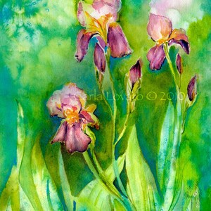 Iris painting, watercolor Painting, 5 x 7 Giclee print, Floral painting, cottage decor, landscape painting, spring green,