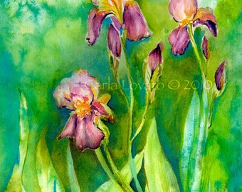 Iris painting, watercolor Painting, 5 x 7 Giclee print, Floral painting, cottage decor, landscape painting, spring green,