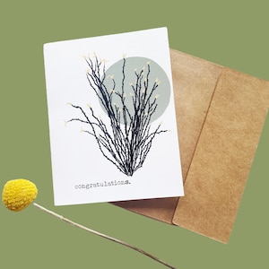 Congratulations Card, Ocotillo Cactus, Southwest card, art card
