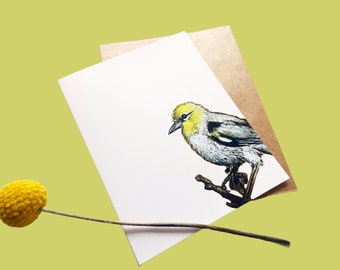 Verdin bird - blank greeting card