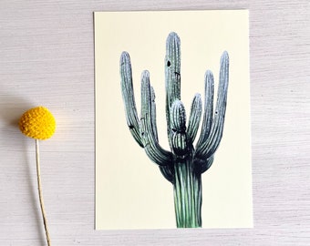 Saguaro in Spring Print, 5x7"