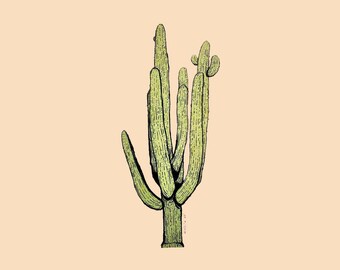 Saguaro Sticker 6x3”