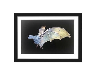 Bat Print 8x10" and 5x7" black - archival matte, giclee, mammal, illustration