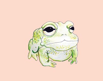 Sonoran Desert Toad Sticker