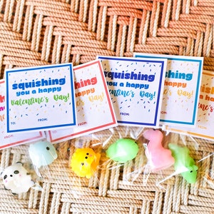 May include: Valentine's Day gift set featuring colorful cards with the text "squishing you a happy Valentine's Day!" and assorted squishy toys. The cards have a confetti design and space for "To" and "From" details.