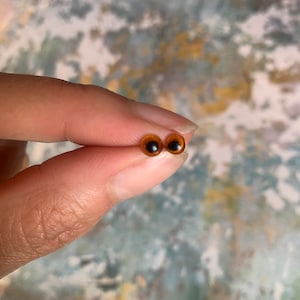 May include: Two brown plastic googly eyes with black pupils.