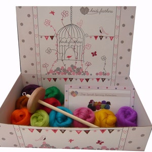 Puede incluir: Un kit de rueda de hilar con un huso de madera y una variedad de vellón de lana de colores en una caja blanca con un diseño de jaula de pájaros y el texto "Heidi Feathers".