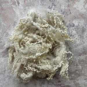 Heidifeathers Blue Faced Leicester Wool Locks - Natural White & Dyed Curly Locks Felting and Crafting