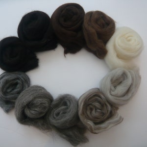 May include: A collection of eight different colored wool rovings arranged in a circle. The colors are black, brown, gray, and white.