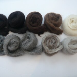 May include: Eight balls of wool in various shades of brown, gray, and white. The wool is arranged in a row, with the darkest shades on the left and the lightest shades on the right.