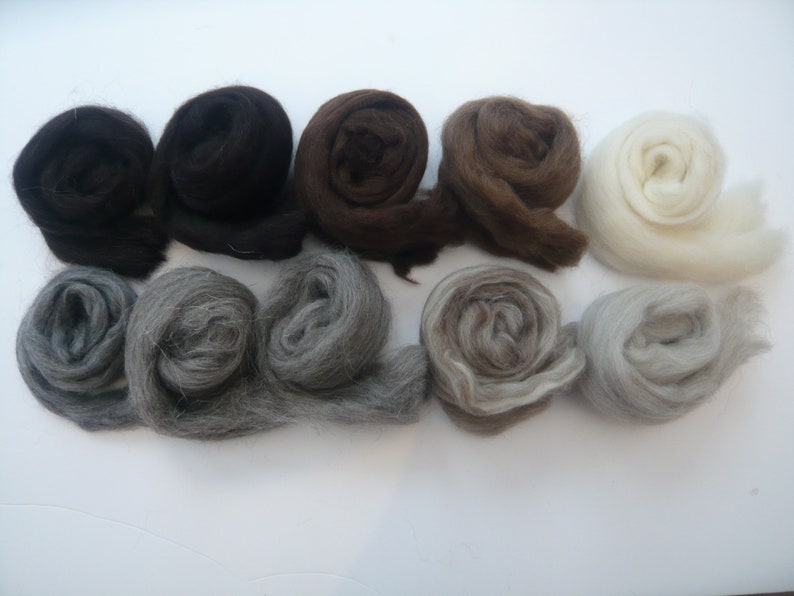 May include: Eight balls of wool in various shades of brown, gray, and white. The wool is arranged in a row, with the darkest shades on the left and the lightest shades on the right.