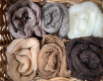 Heidifeathers 'Creatures Mix' - Felting Wool - 6 Natural Slivers - Animal Felting Wools