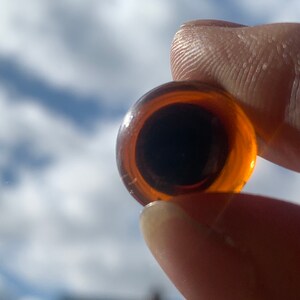 May include: A close-up of a round, amber-coloured glass eye with a black pupil. The eye is being held by a finger.