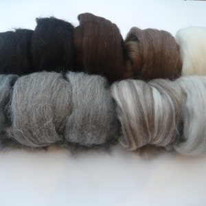 May include: Assortment of eight different colored wool rovings. The rovings are arranged in a row, with the darkest color on the left and the lightest color on the right. The colors are black, dark brown, light brown, gray, white, and a mix of brown and white.