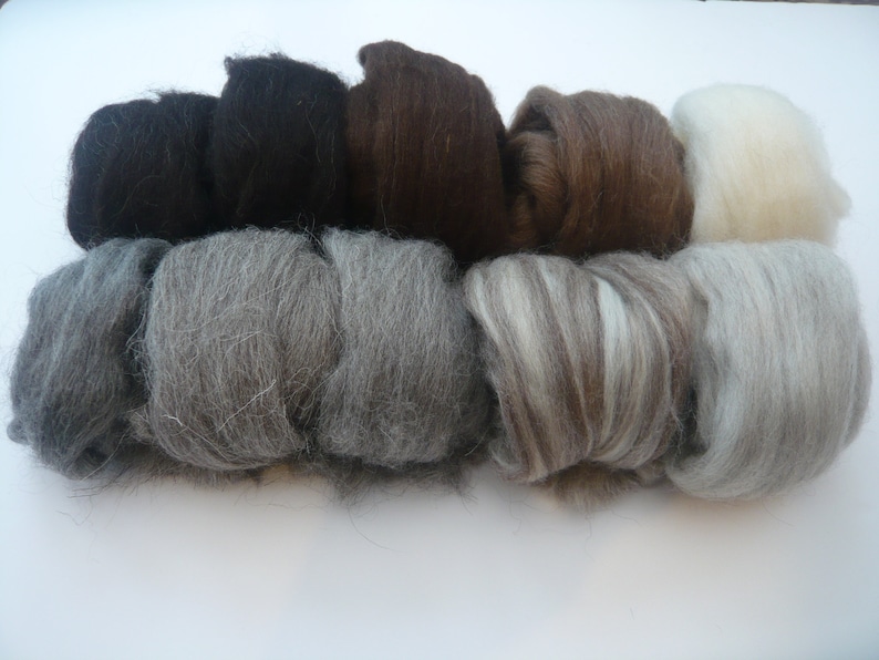 May include: Assortment of eight different colored wool rovings. The rovings are arranged in a row, with the darkest color on the left and the lightest color on the right. The colors are black, dark brown, light brown, gray, white, and a mix of brown and white.