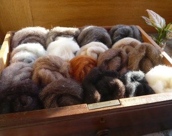 Heidifeathers 'Wildlife Mix' Carded Sliver Felting Wool - 18 wool shades